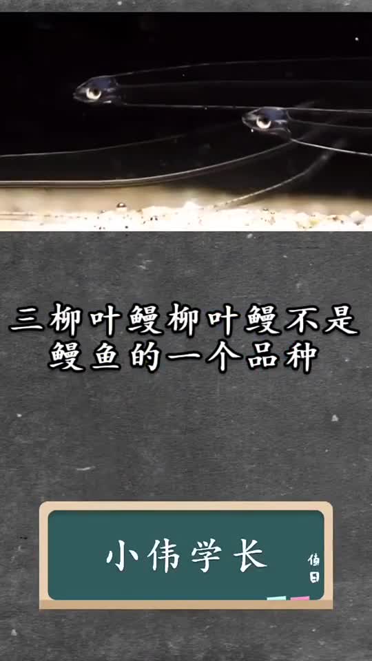 送我上热门:幽默搞笑的你,是最漂亮的 (46)