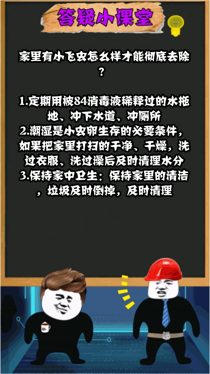 家里有小飞虫怎么样才能彻底去除?