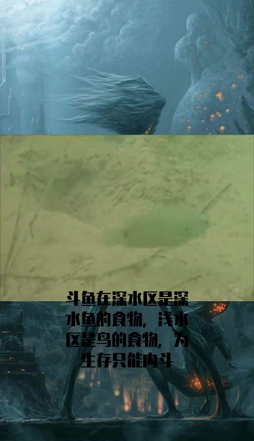 #社会奇闻#斗鱼在深水区是深水鱼的食物,浅水区是鸟的食物,为生存只能内斗