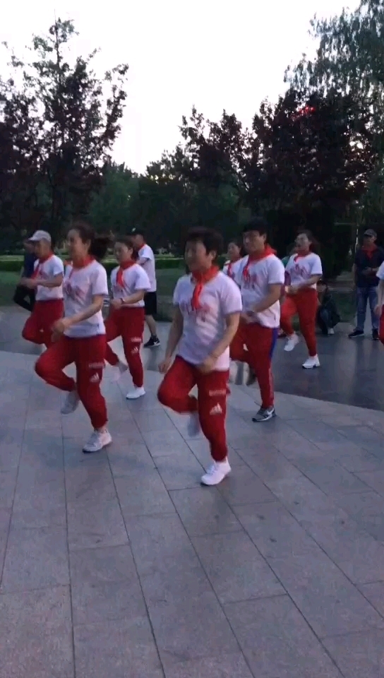 沙漠飞鱼