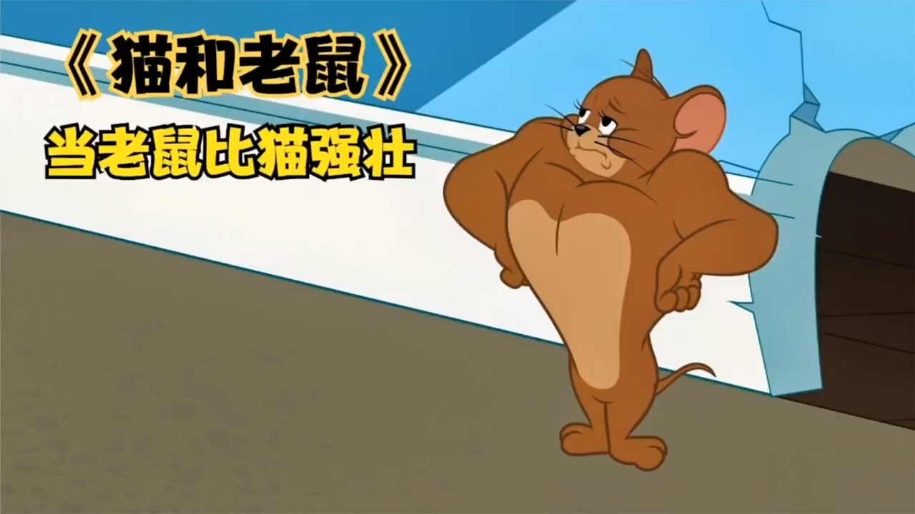 《猫和老鼠》你见过比猫还强壮的老鼠吗?汤姆该怎么办呢