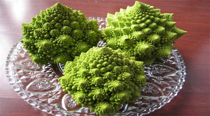 贵重植物有哪几种