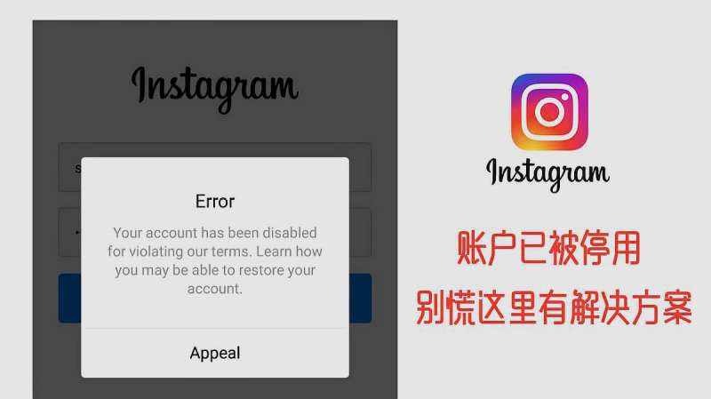 Instagram账户被停用解决方案