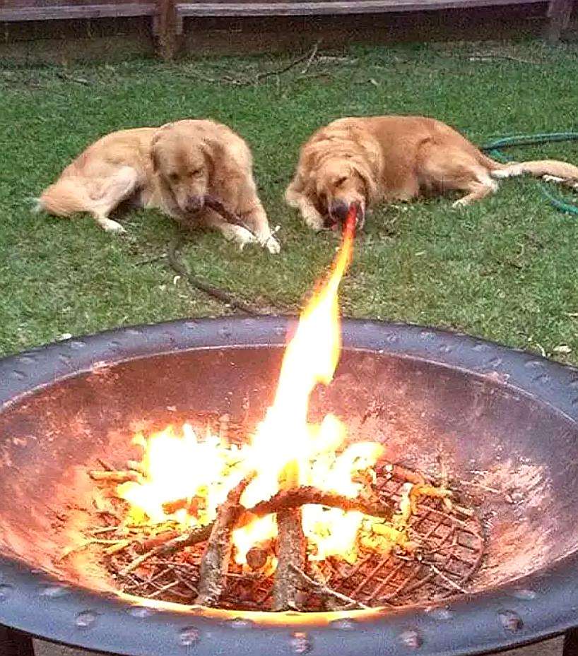 11张令人搞笑的错觉照片,再一次说明世界充满了巧合