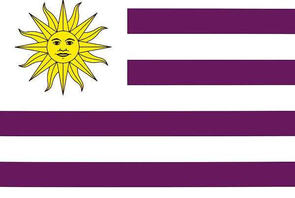 长久以来,为什么世界各国的国旗都不选用紫色呢?