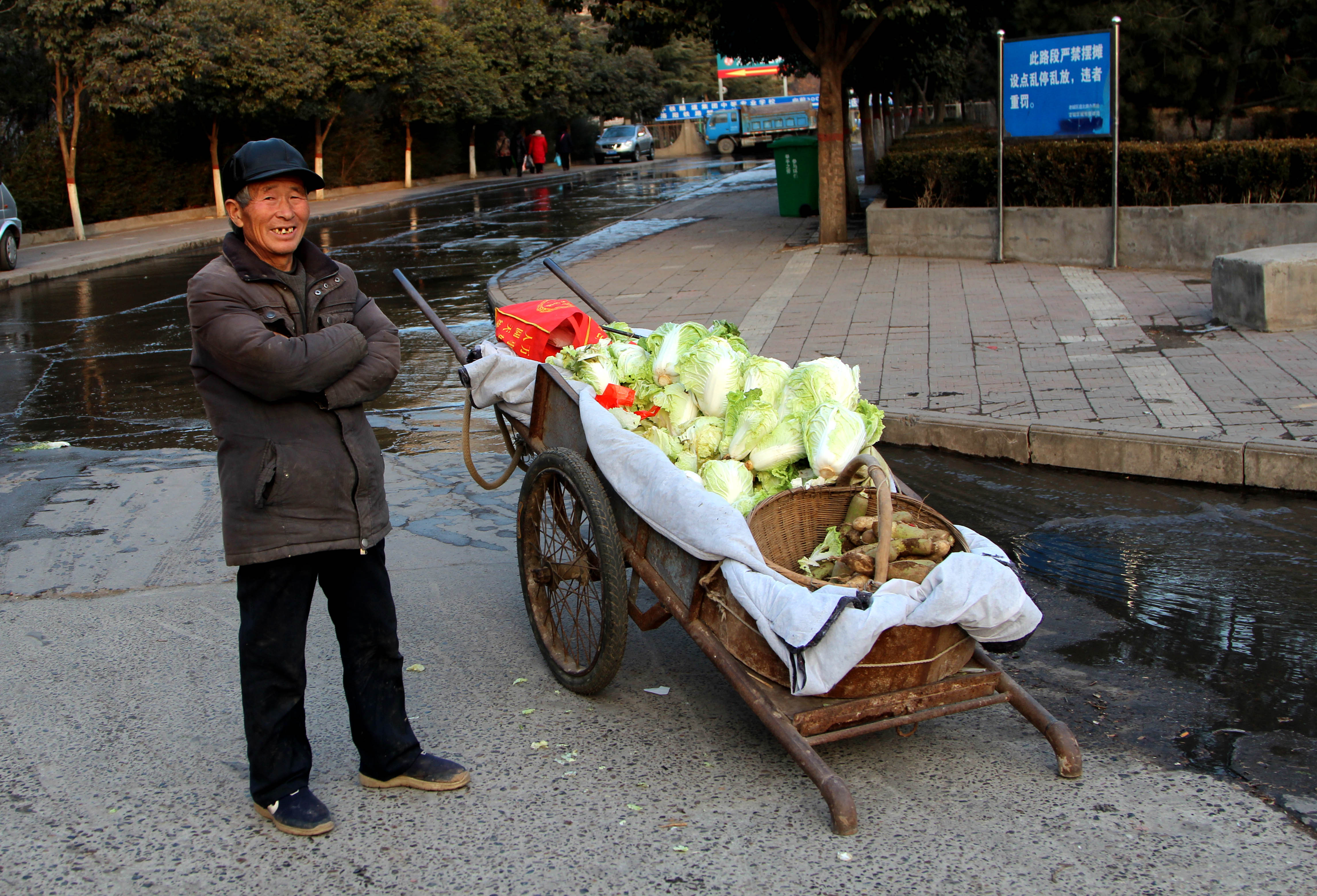 老汉拉架子车走10里进城卖菜:锻炼身体