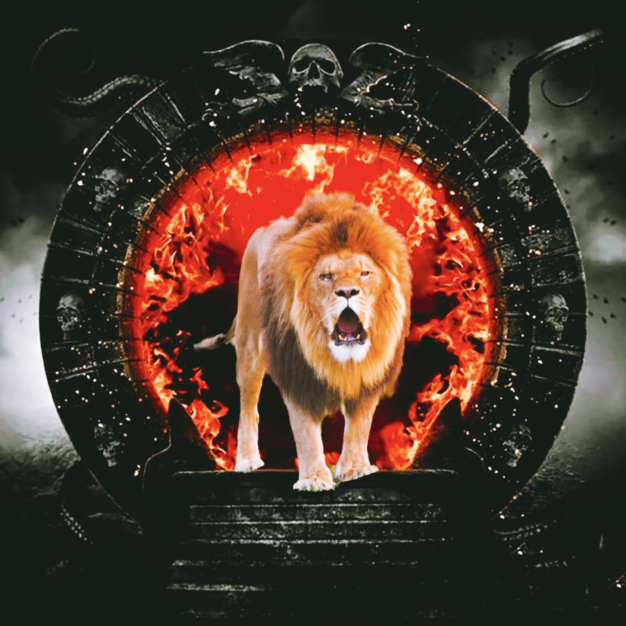 动物之创意p图系列