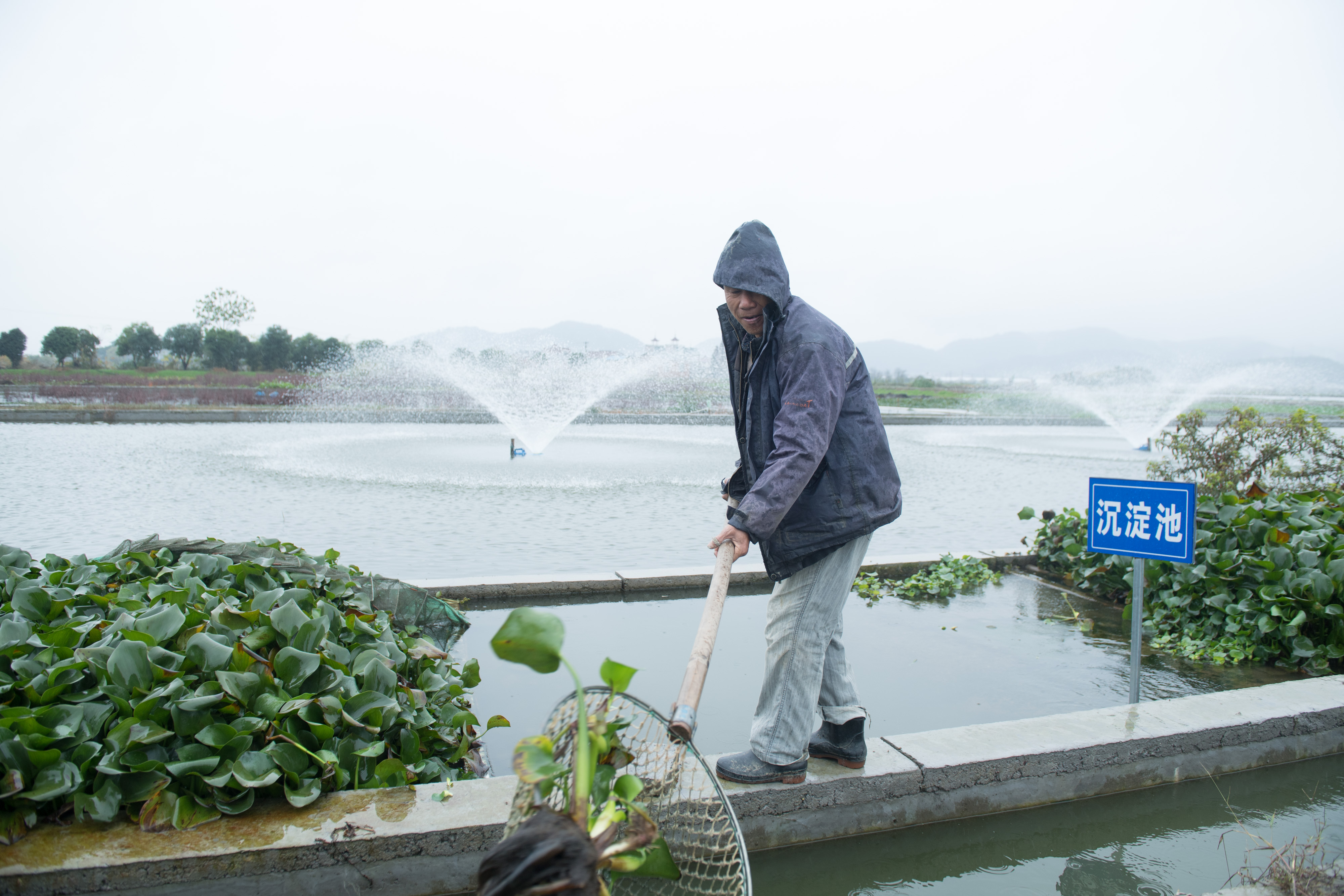 浙江诸暨:绿色生态养殖推动珍珠之乡产业升级(5)