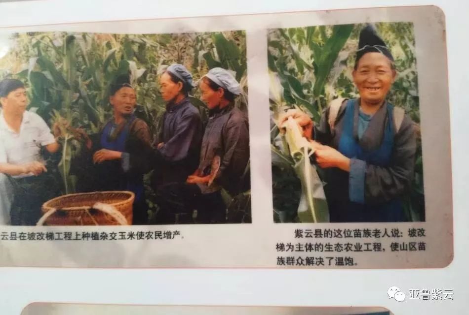 据1997年4月16日《安顺日报》报道,时任省长吴亦侠到湾塘村调研是
