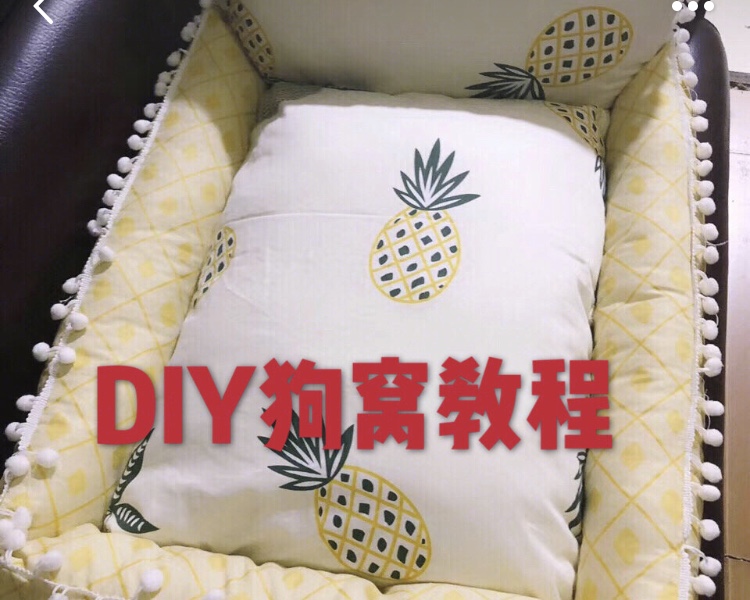 diy狗窝教程,简单又省钱,狗狗:我的主人最优秀!