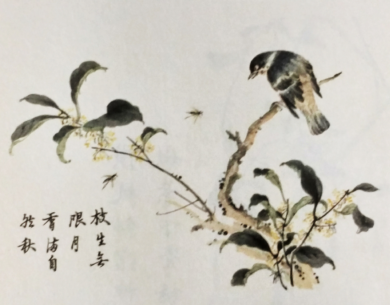 芥子园花鸟画100幅图片