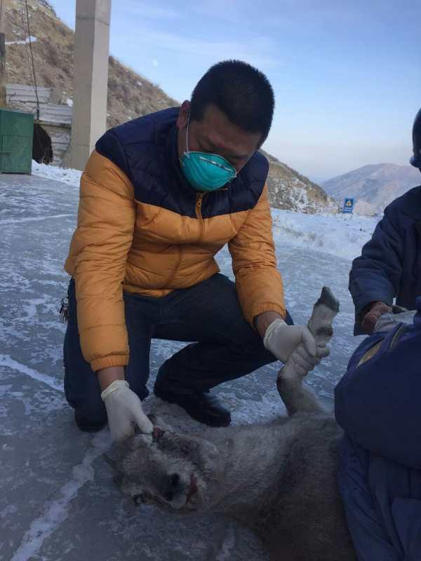 八年坚守:奉献生态保护一线 朱继勇获:国家最高生态大奖