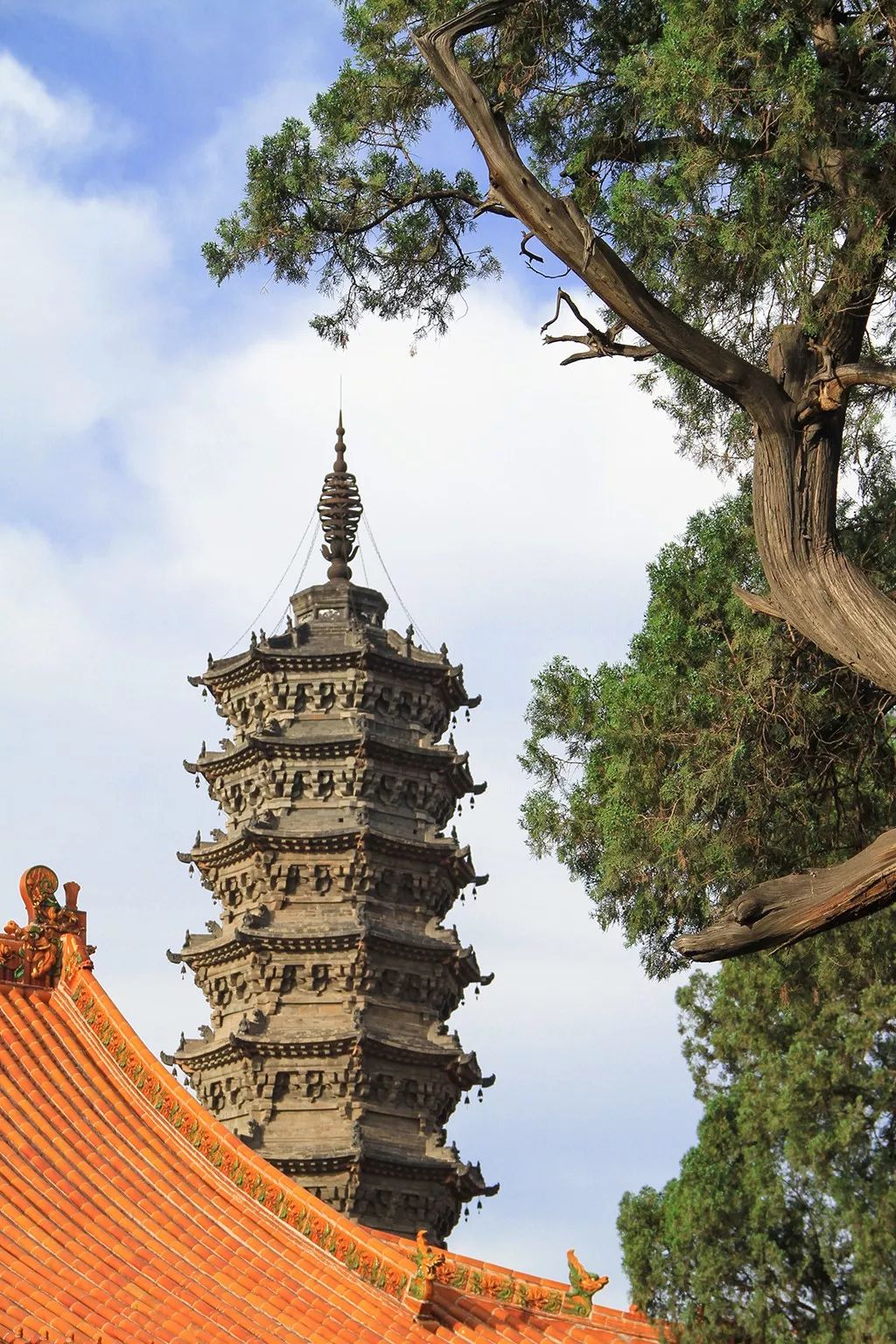 柏林禅寺的塔,照片欣赏!