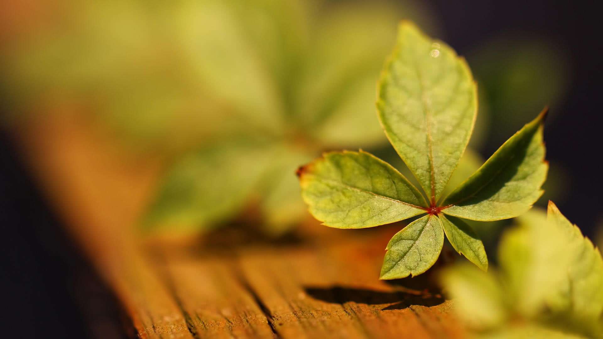 当人生陷入落魄和低谷,若形成这4种心态,是马上要交好运的迹象