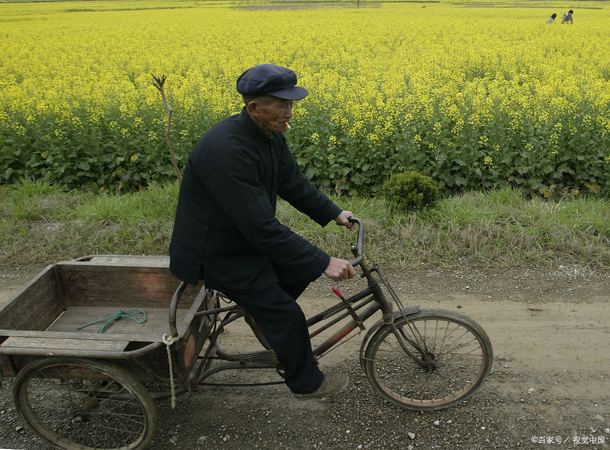 如何解决农村农民养老问题?发展和壮大农村集体经济,生活更美好