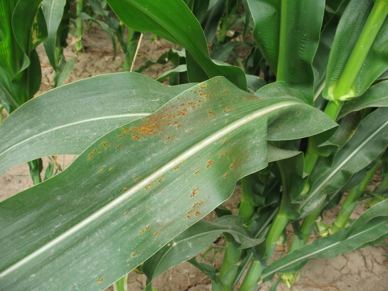 仓- 热门商品专区