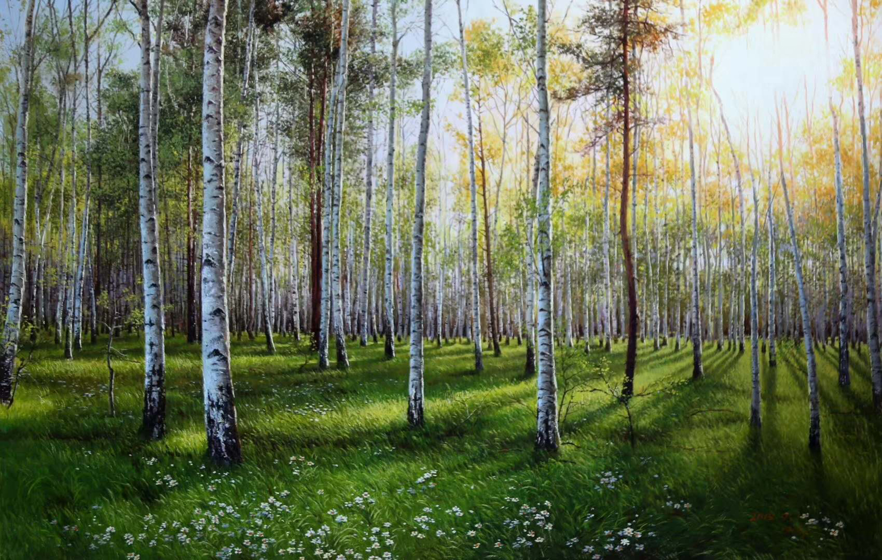 油画《白桦林》.白桦树是俄罗斯的国树,是这个国家的民族精神的象征.