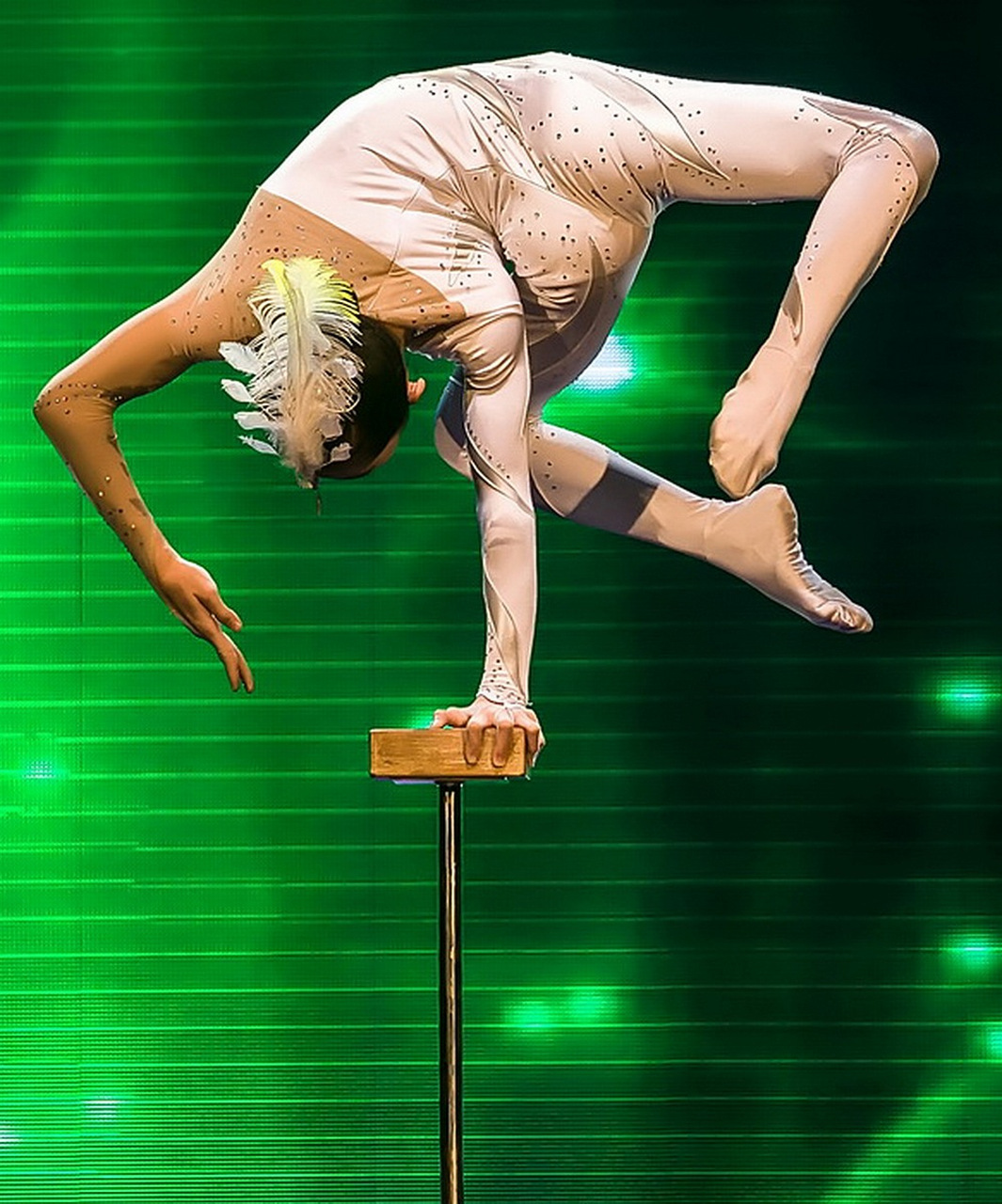 坠亡杂技女演员家属获公司赔偿#   转自:北京商报  4月18日,安徽宿州