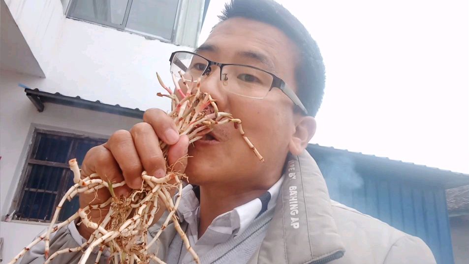 岳母上火,女儿女婿把药、食二用的中草药清洗晾晒,以备不时之需