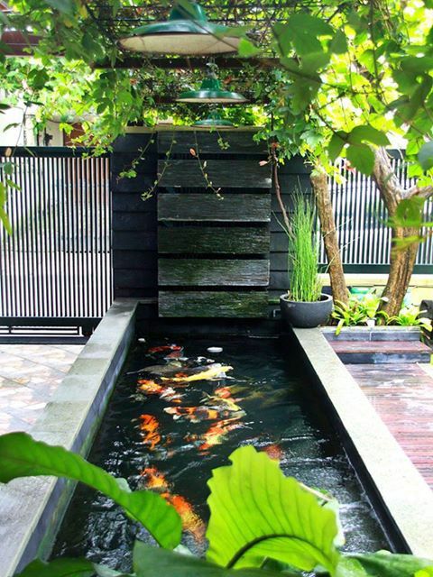 庭院鱼池合集:没想到防腐木在庭院花园鱼池设计中的作用这么大