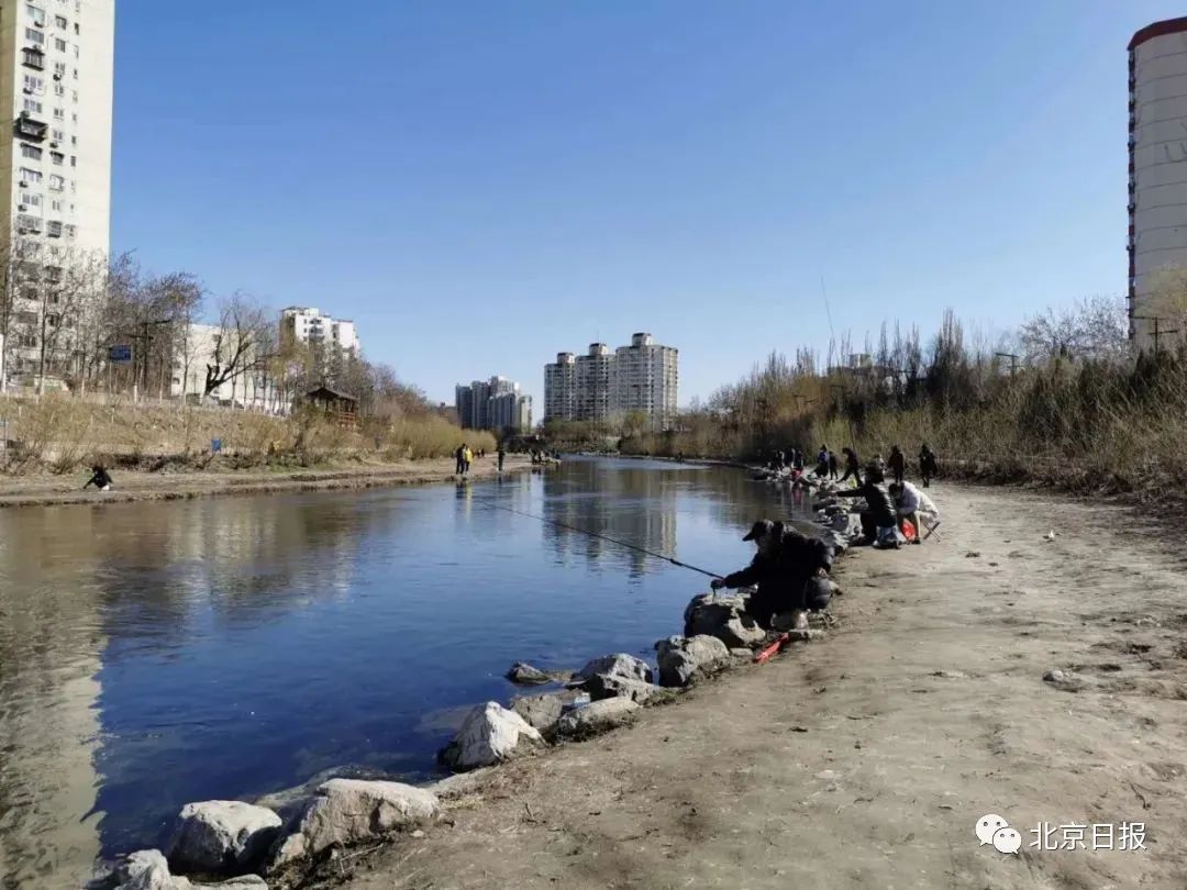 『野钓』北京这些地儿有人不戴口罩，还扎堆儿野钓！