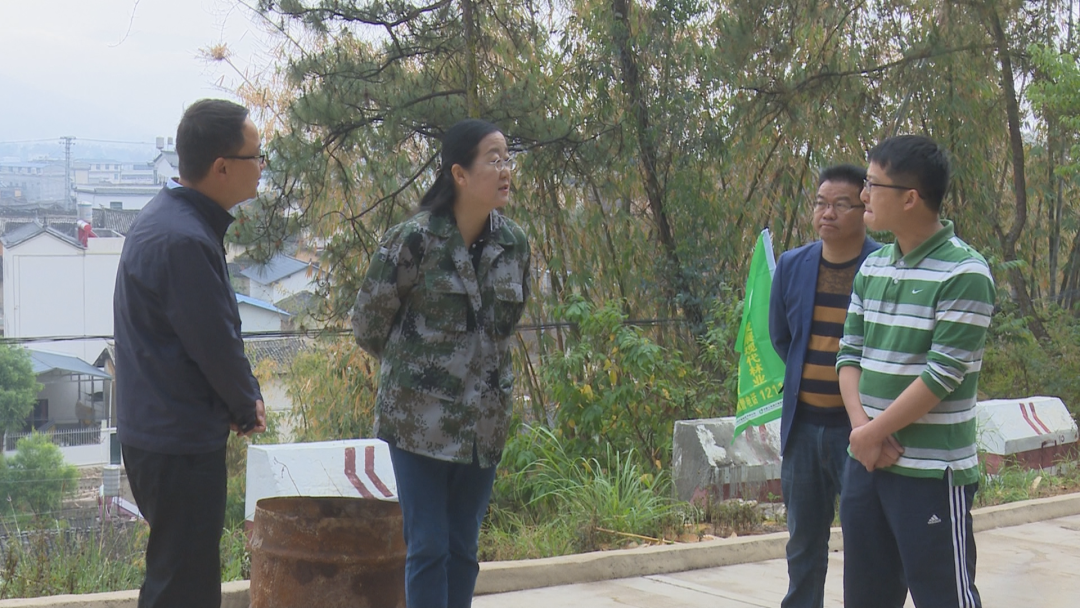 副市长张云怡到我县检查指导森林草原防火工作