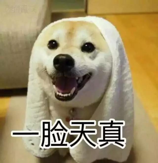 嫌狗狗太吵直接切除声带,大家怎么看?