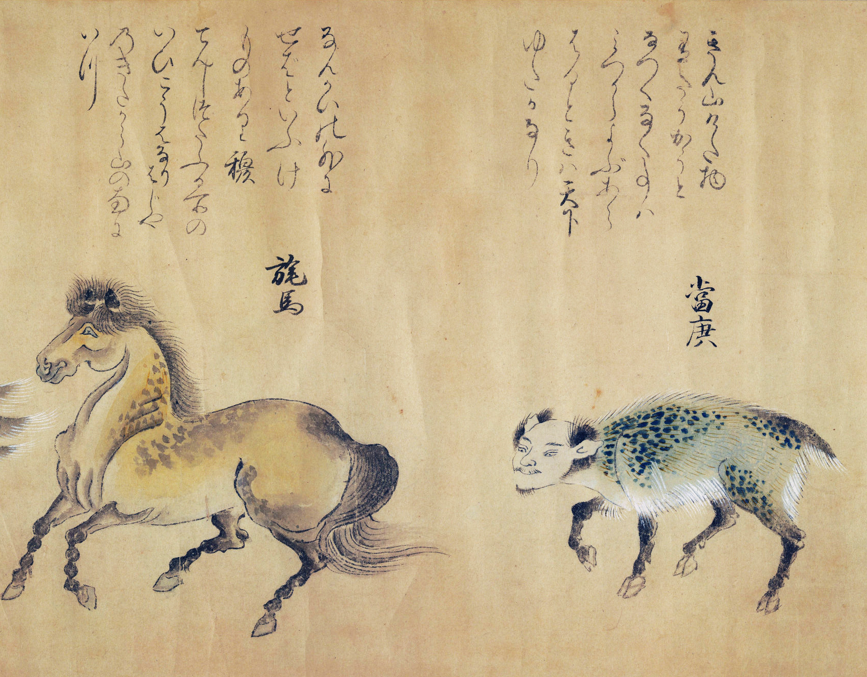 《山海经》鸟兽彩绘图卷!绘制于日本江户时期!成城图书馆珍藏!