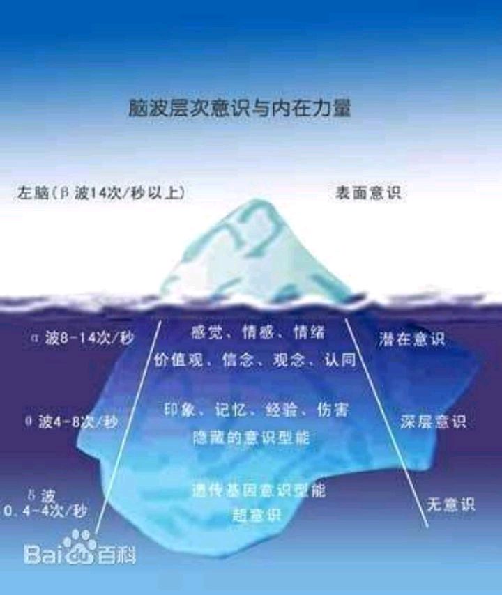 意识与脑利用率之间的联系