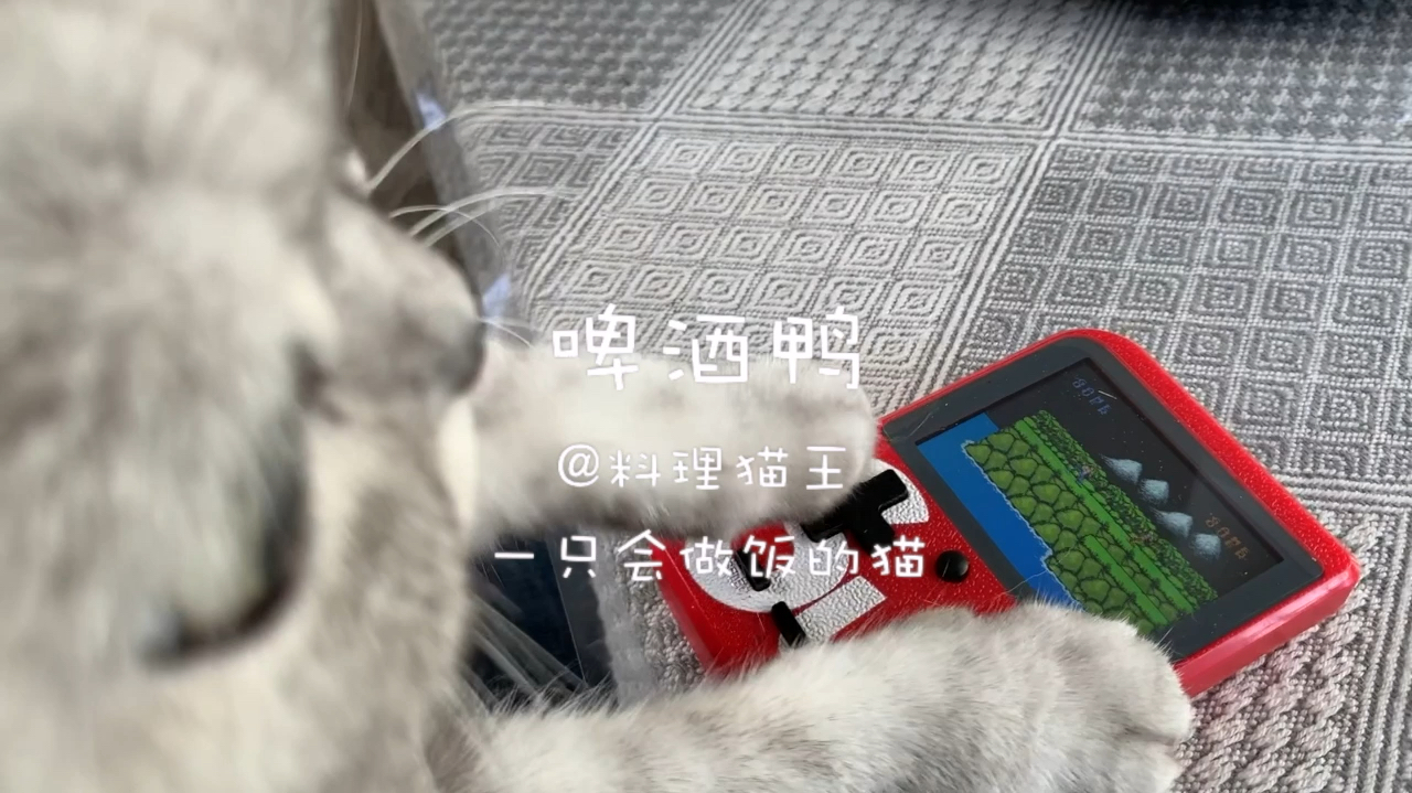 猫咪一边做菜一边打游戏,真是太可爱了,一定要看到最后