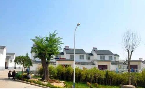 青州弥河镇上榜"山东绿色生态示范城镇" 成潍坊唯一入选