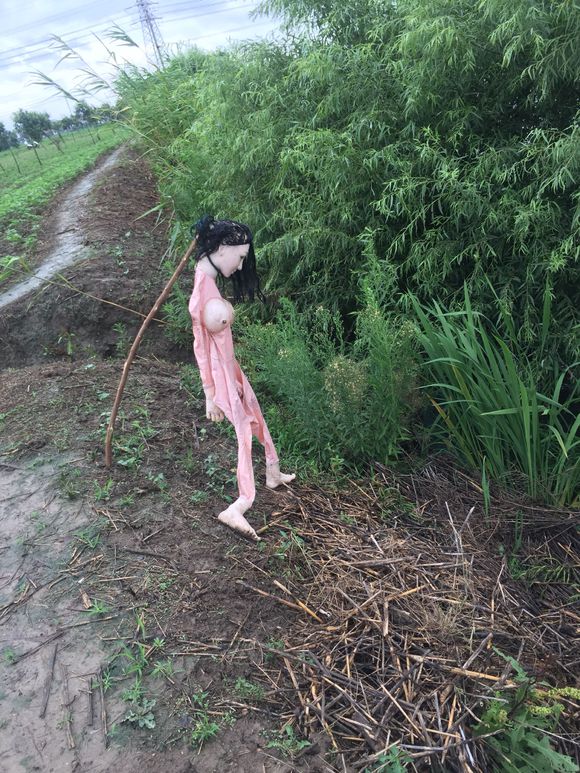 充气娃娃还能这么用?网友:还好不是晚上,吓死我了