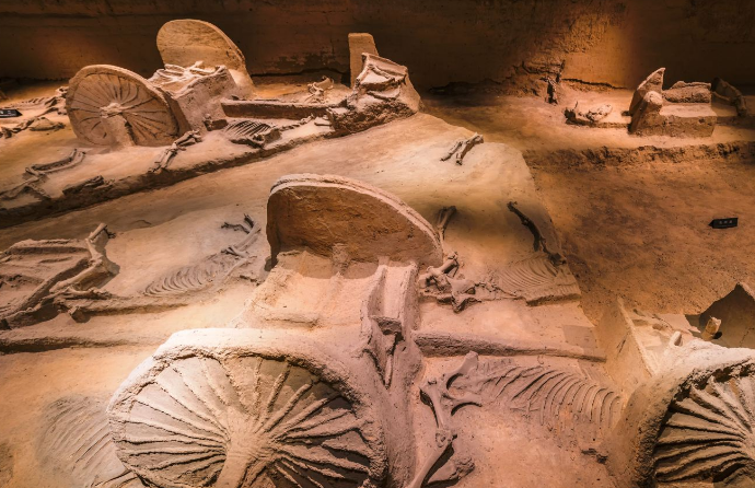 最美洛阳:赏"天子驾六"和车队遗迹,了解东周王城的历史!