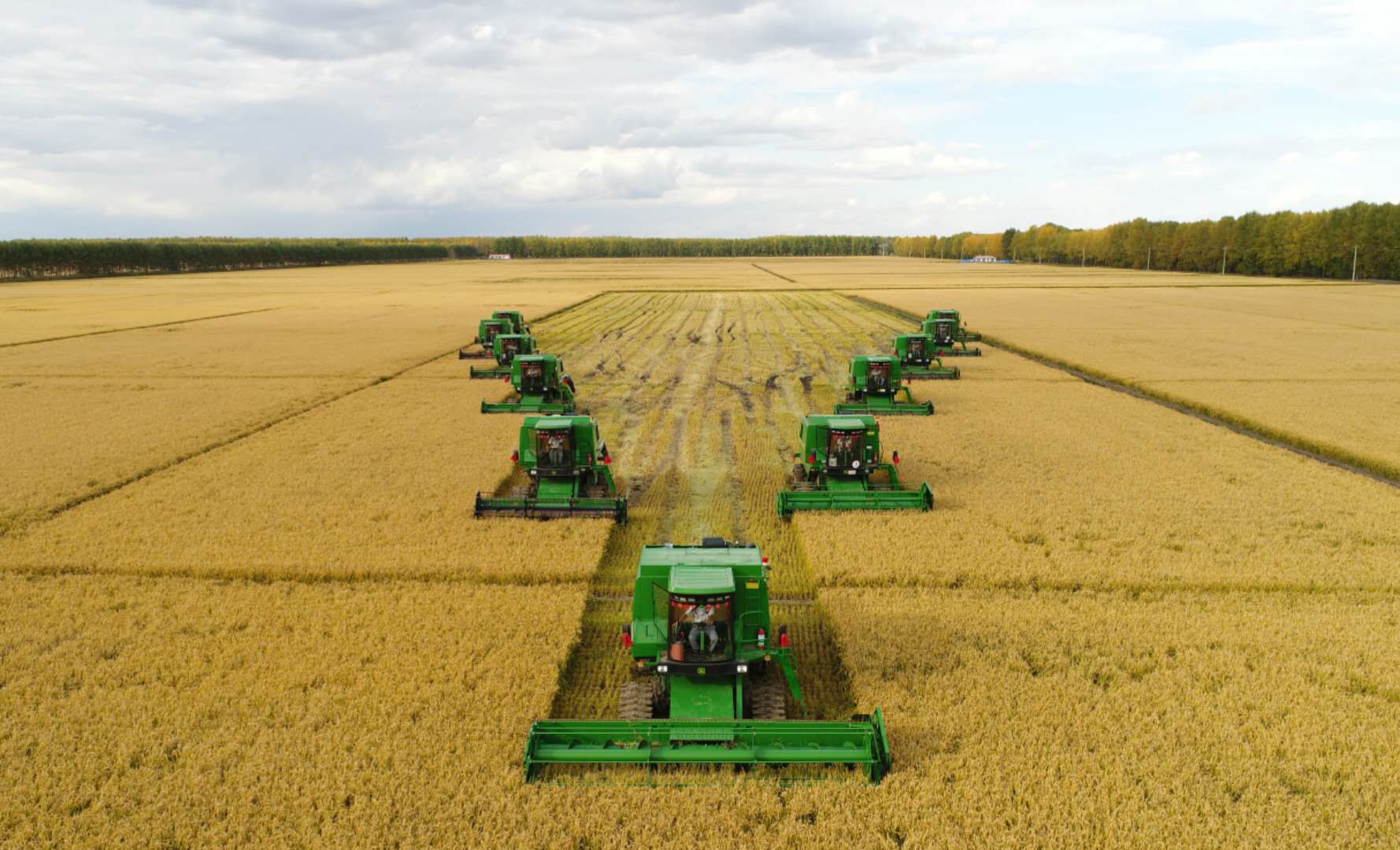 黑龙江农垦大兴农场水稻秋收盛况引央媒关注直播