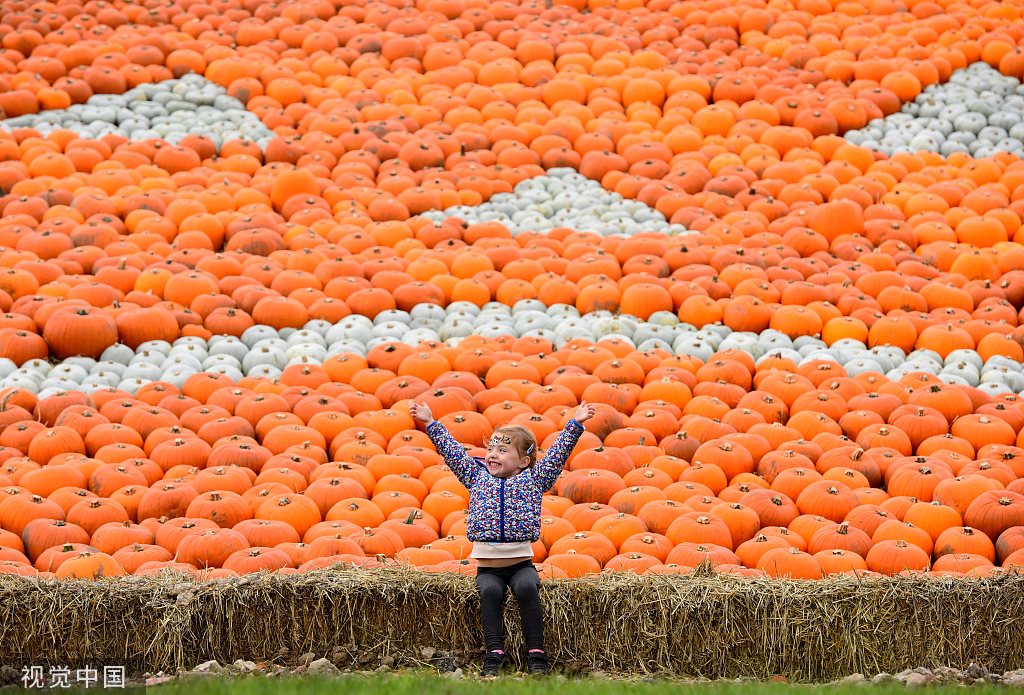 万圣节将至 英国农场堆出8米高"大脸南瓜山"