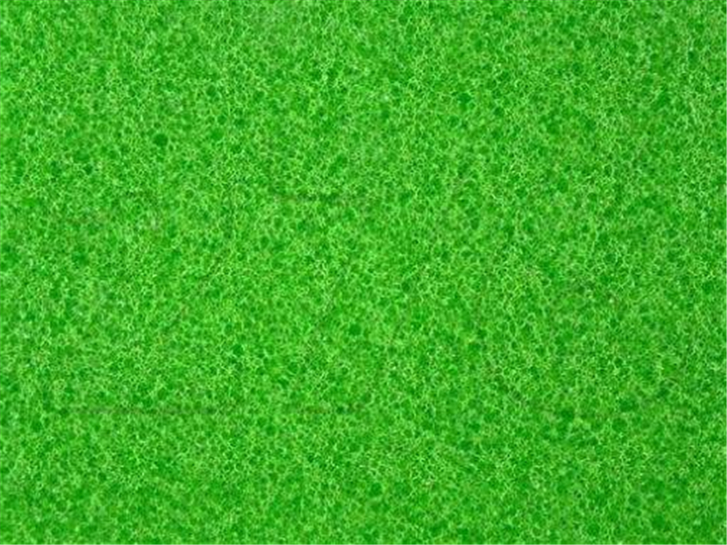 4张经典色盲测试图:你能看出图片里的牛吗?否则可能无缘驾照!