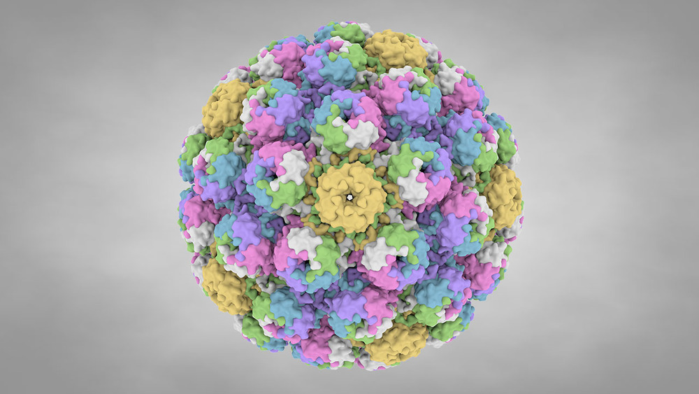 一组病毒的冷知识及十张放大一千四百倍的病毒照片