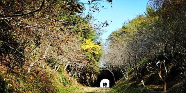 广东最美省道s244全长300公里 可自驾可骑行