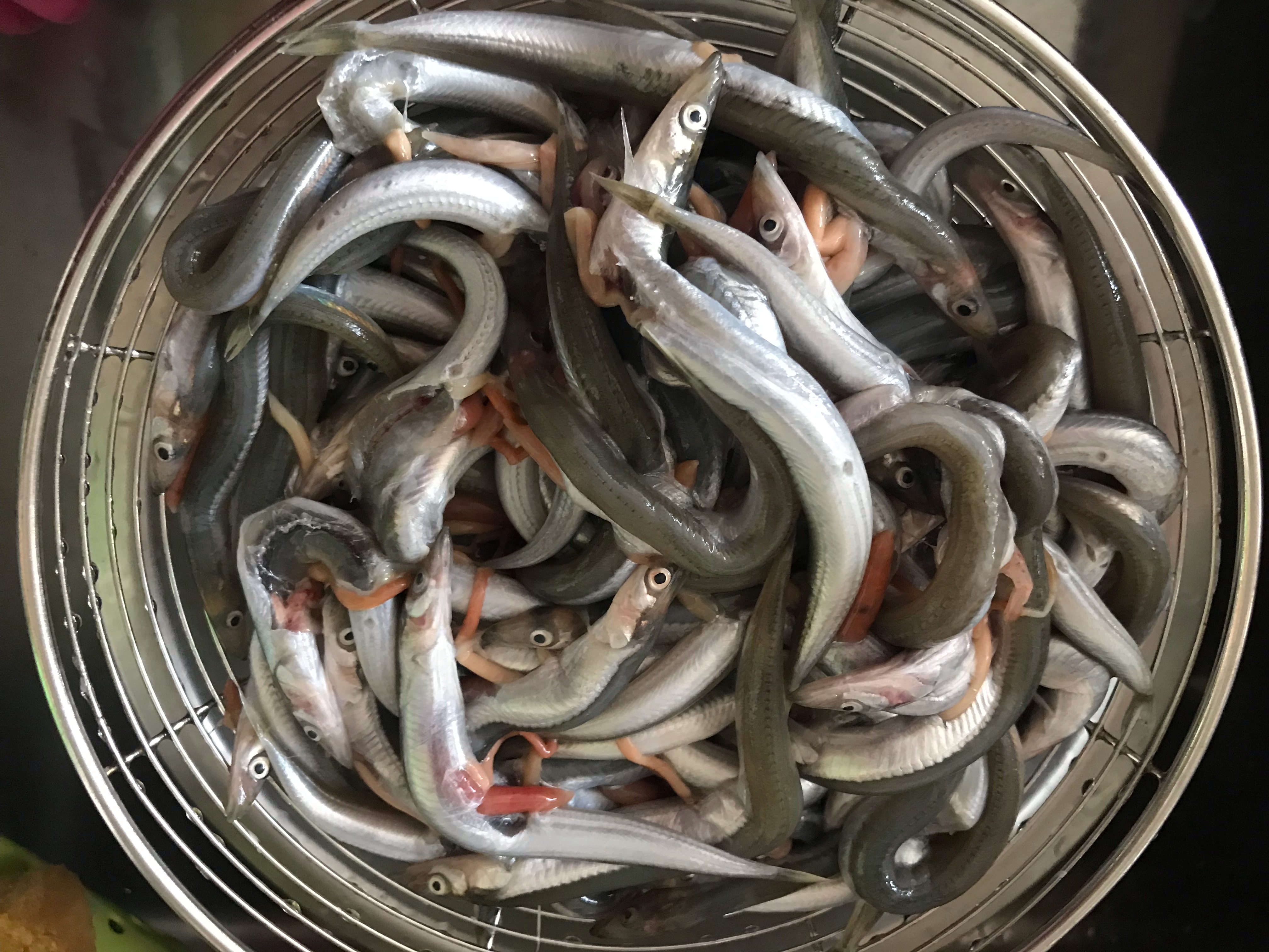 6,放入拌了面粉的面条鱼,用筷子不时拨动一下,防止粘连,注意动作要轻