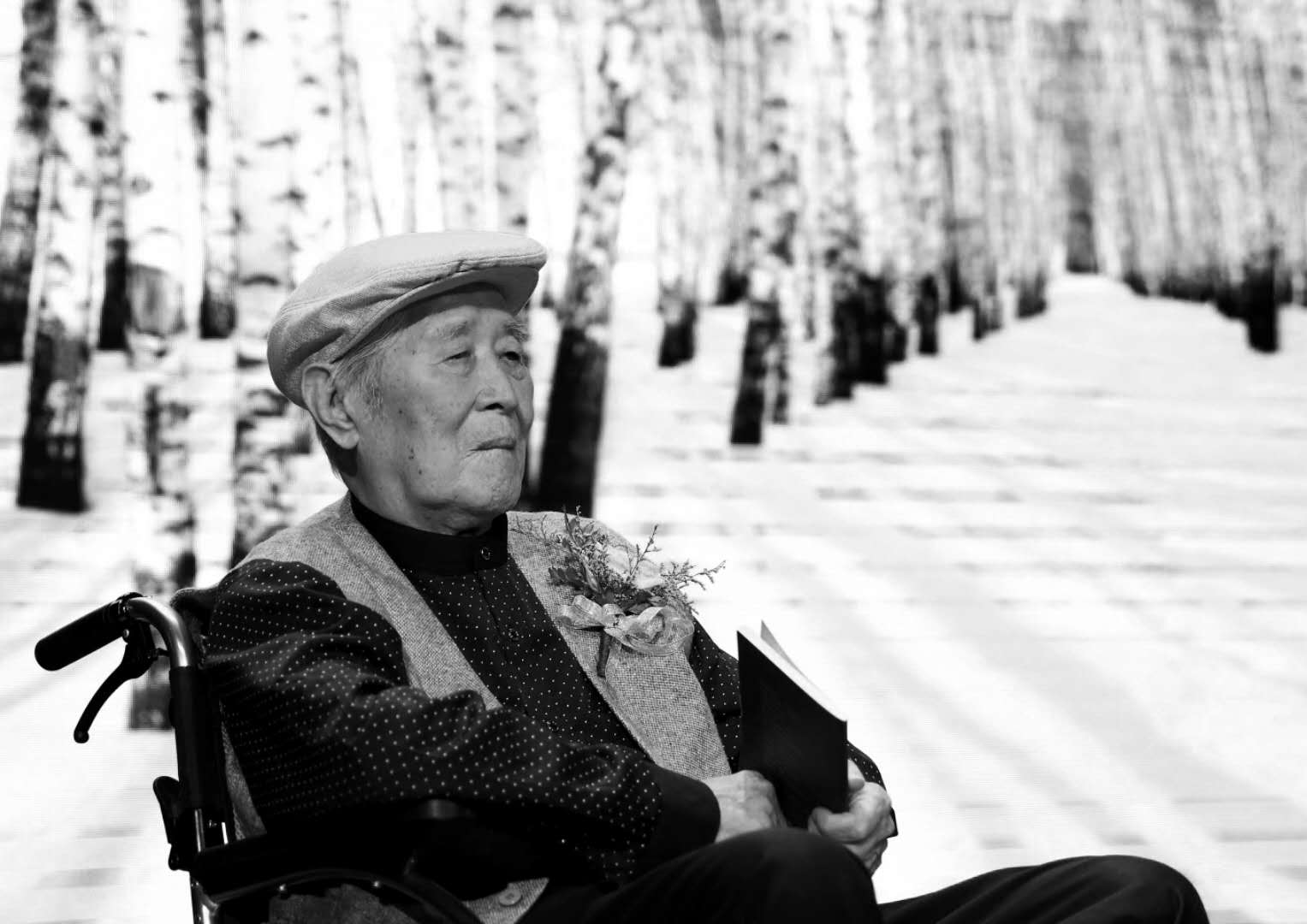 白桦在沪逝世:他是时代疾风中的一株白桦