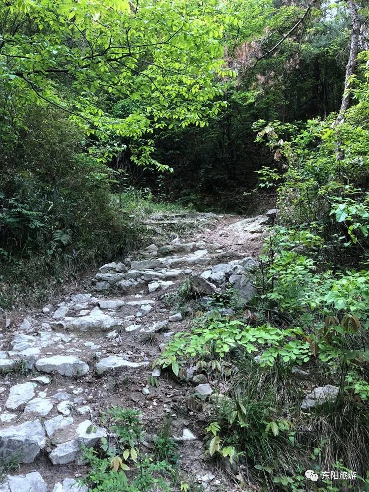 东阳侬,夏天你会去哪凉快?西岘峰,有峰有水有乐亭