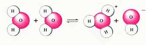 水合氢离子的比例模型