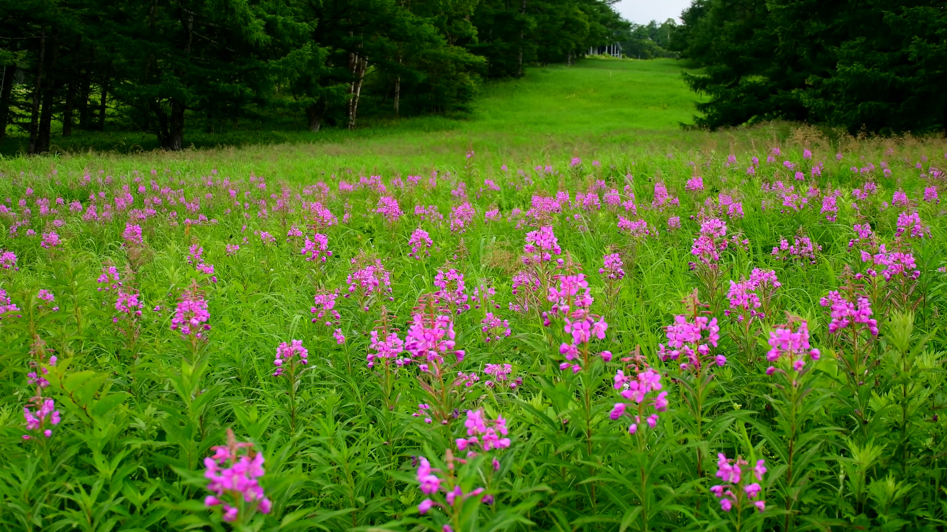 静态风景 第七期