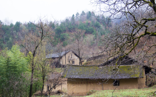 南沟口的房子,基本都是上个世纪六七十年代修建的土房,材质虽然简单
