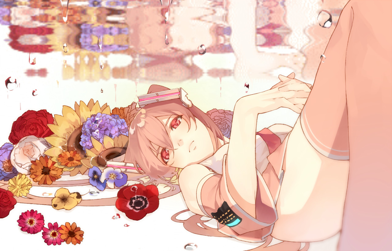 しきにゃんと-61015613 第二地区-59695820 ちょっと雨宿り-63278576