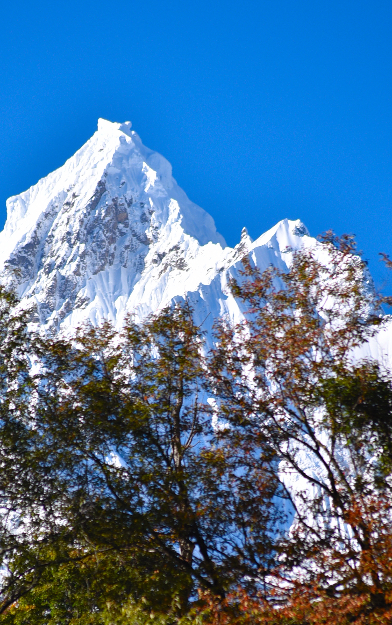 梅里雪山雨崩村失火,为何那么多人痛惜?
