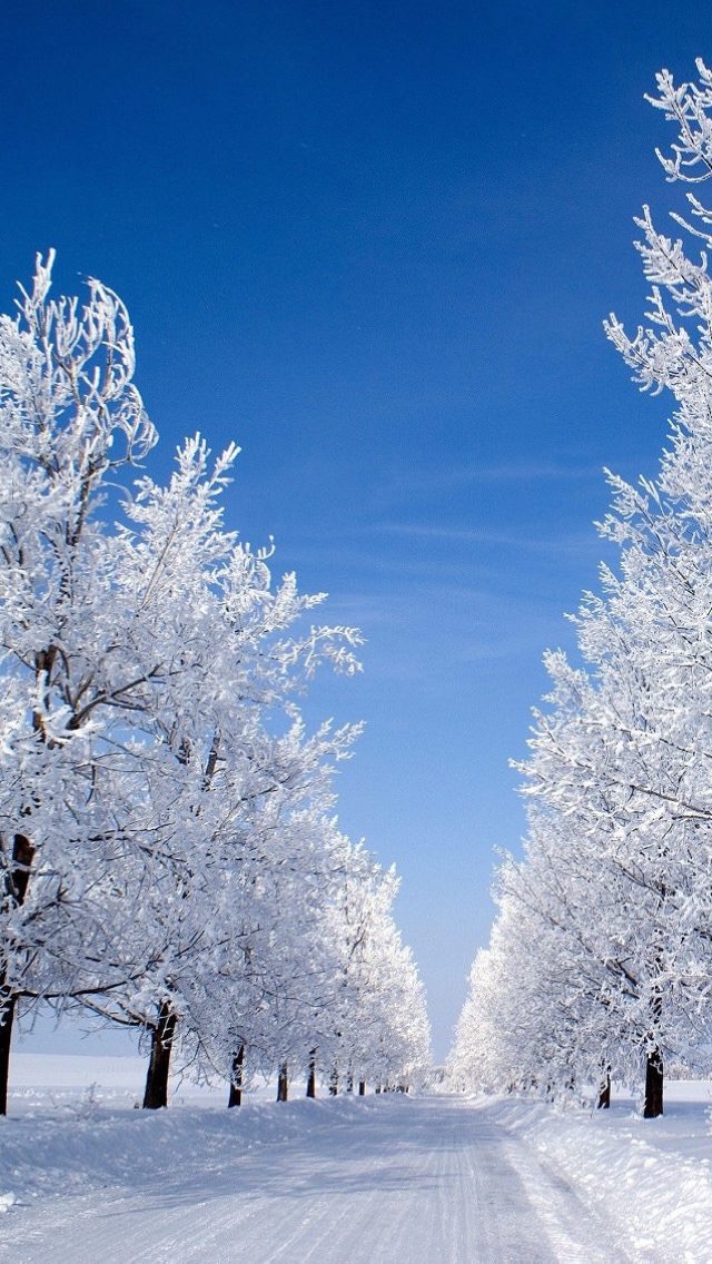 超美雪景手机屏保,壁纸:辽宁不下雪,只能看美景已解相思之情