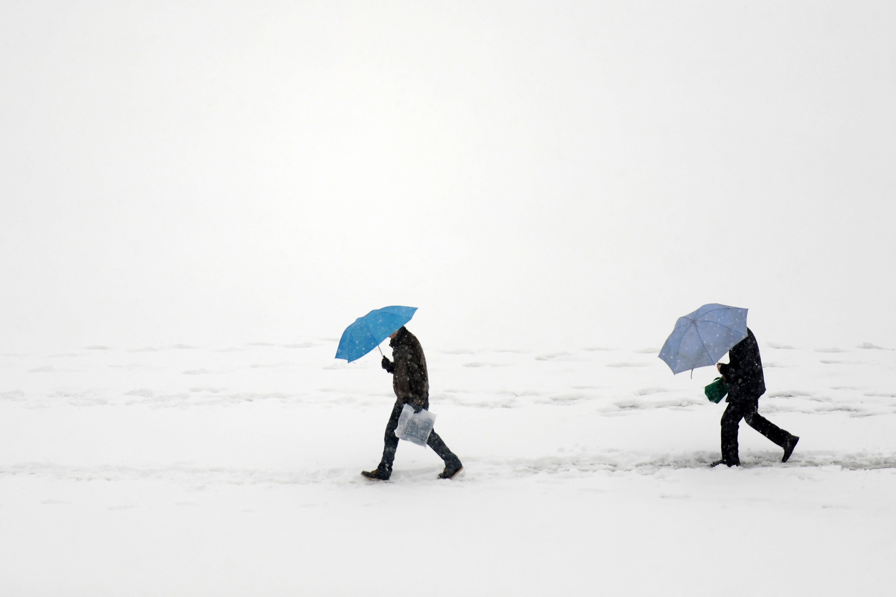 (社会)(2)雪中行
