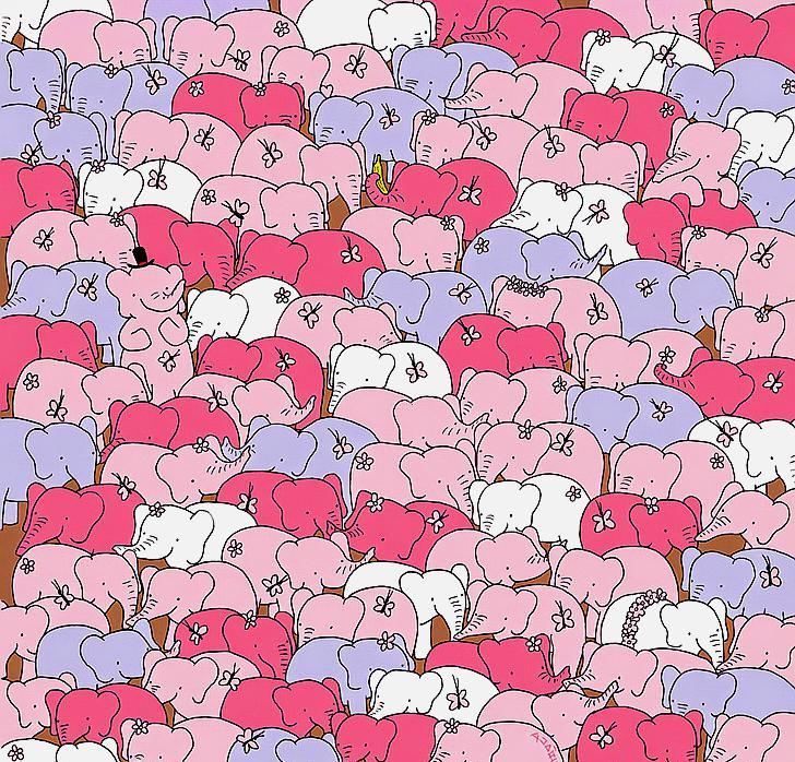 艺术家在他的插图中隐藏了一些东西,只有眼睛尖才能找到