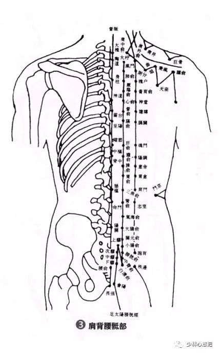 人体穴位图 不同侧面分享